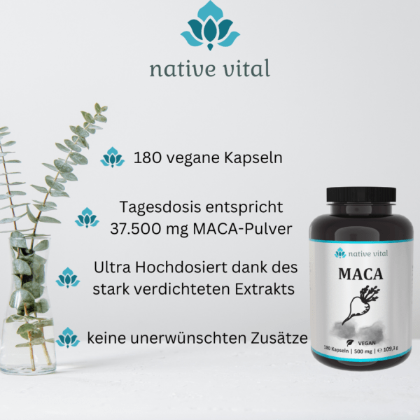 MACA Black – Bild 2