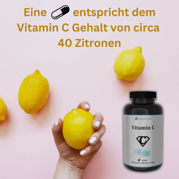 Vitamin C - 365 Kapseln – Bild 4