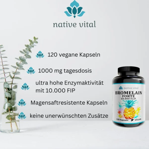 Bromelain Forte – Bild 2